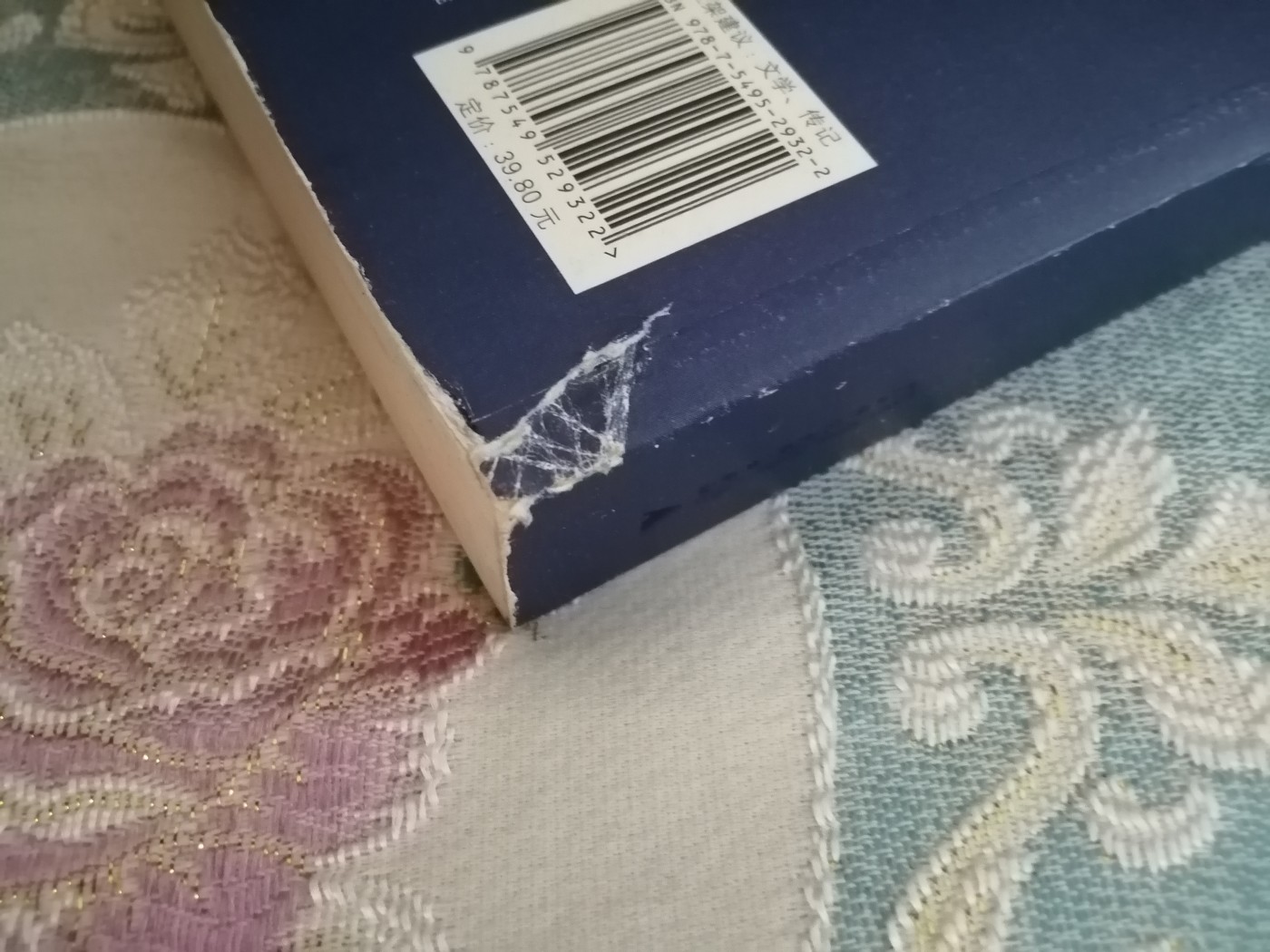 《看见》柴静