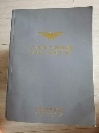 二〇〇二年年报（中国民用航空总局） - 二〇〇二年年报（中国民用航空总局）