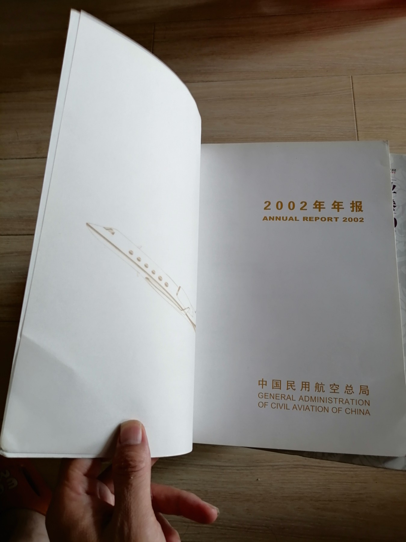 二〇〇二年年报（中国民用航空总局）