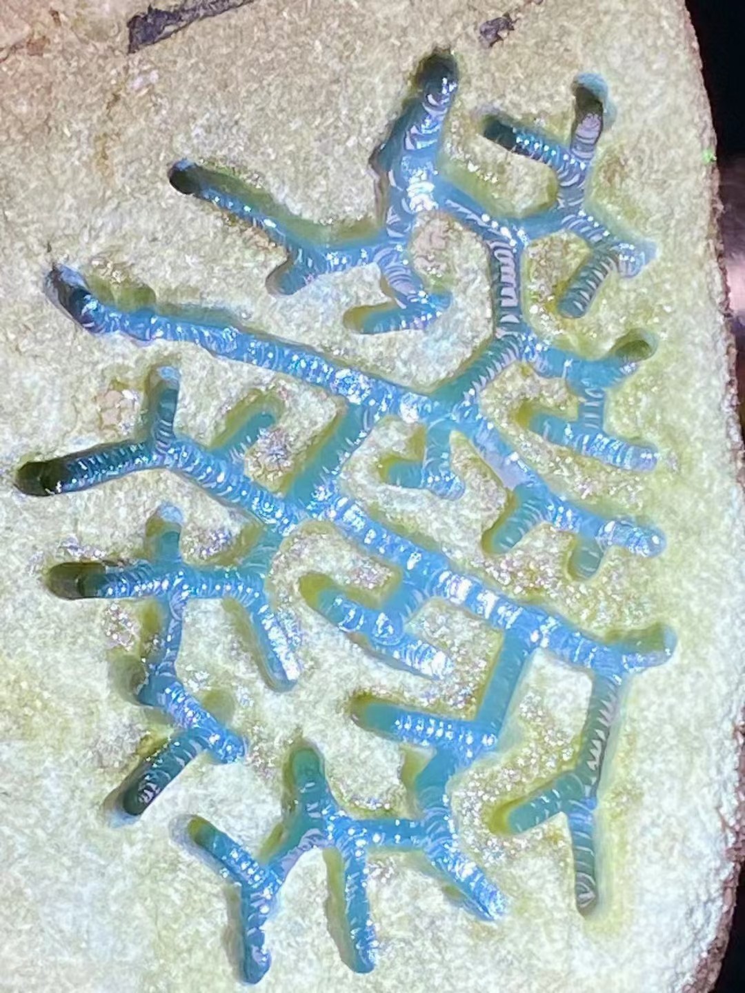 南齐开窗冰晴牌子挂件料，重850克，种老起胶，开窗部位已经看到肉质细腻，起胶感，品相完美，几乎没裂，性价比高的料子，喜欢的来哦。