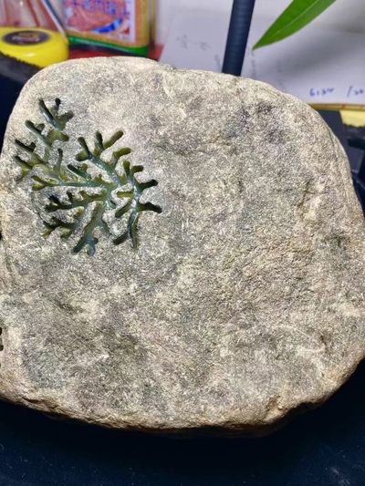 AF-FQ006    6.3公斤老敞口莫西沙开窗冰晴手镯料，整个料子无裂，品相完美，打灯冰透，可玩冰晴手镯的料哦，性价比高高，喜欢的朋友速秒， AF-FQ006    6.3公斤老敞口莫西沙开窗冰晴手镯料，整个料子无裂，品相完美，打灯冰透，可玩冰晴手镯的料哦，性价比高高，喜欢的朋友速秒，