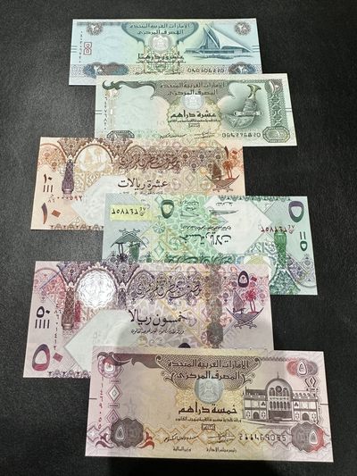 《外钞收藏家》第二百九十三期（连拍第一场） - 阿联酋+卡塔尔6张一起 全新UNC