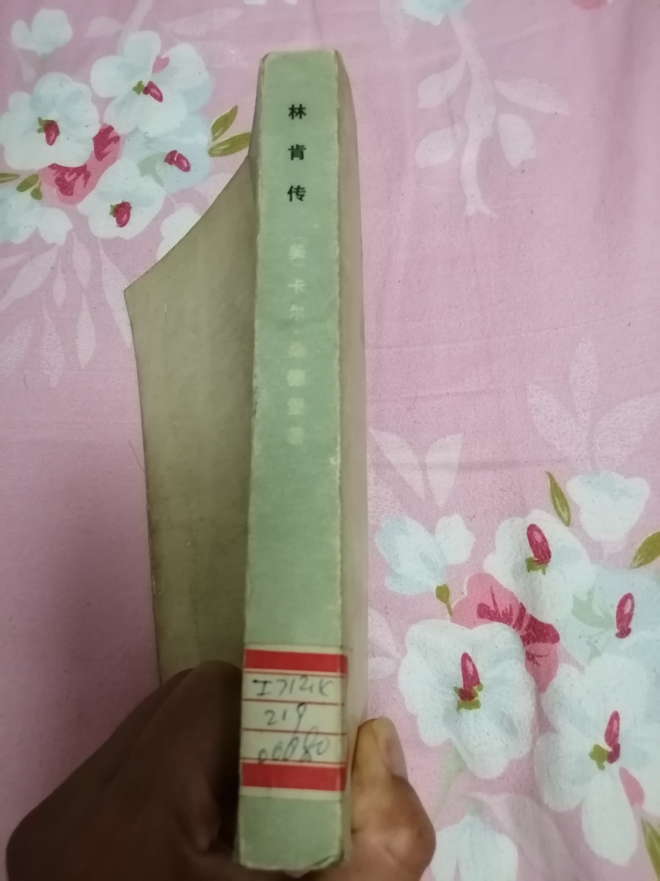 《林肯传》