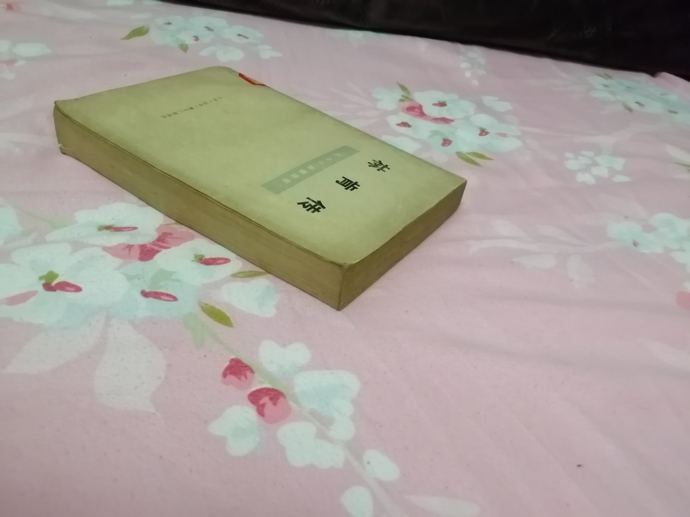 《林肯传》
