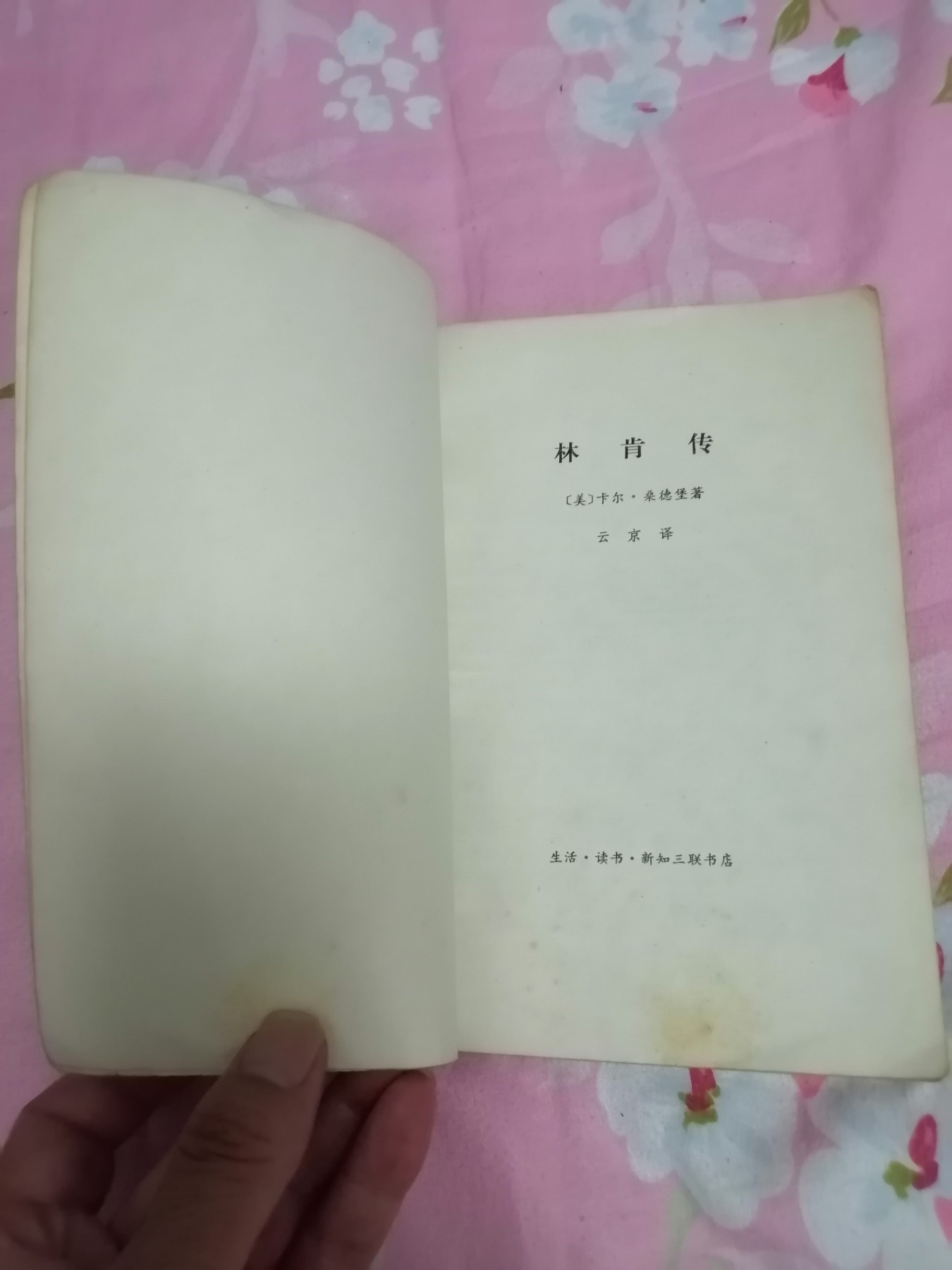 《林肯传》