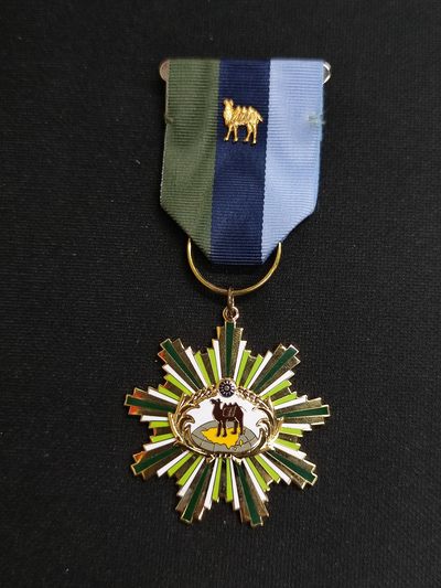 老王徽章拍卖第2期 - 联勤奖章