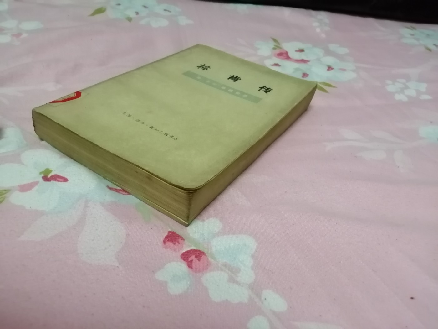 《林肯传》