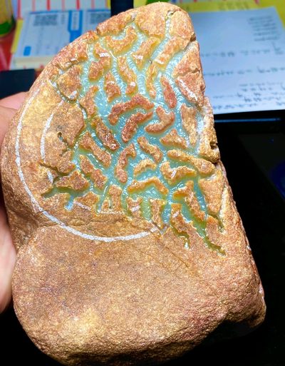 4.6斤 木那开窗手镯料 4.6斤 木那开窗手镯料