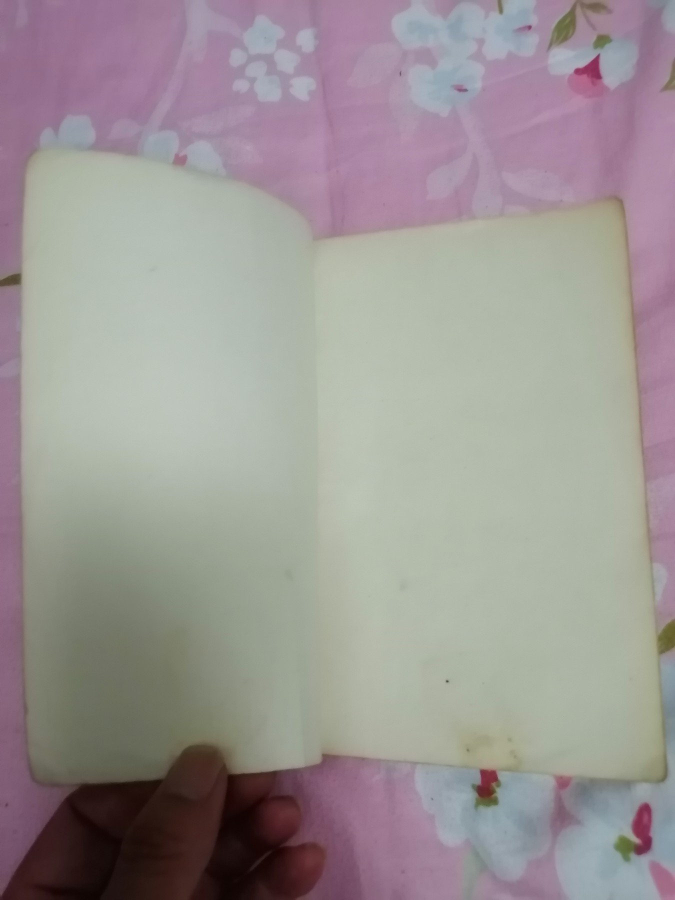 《林肯传》