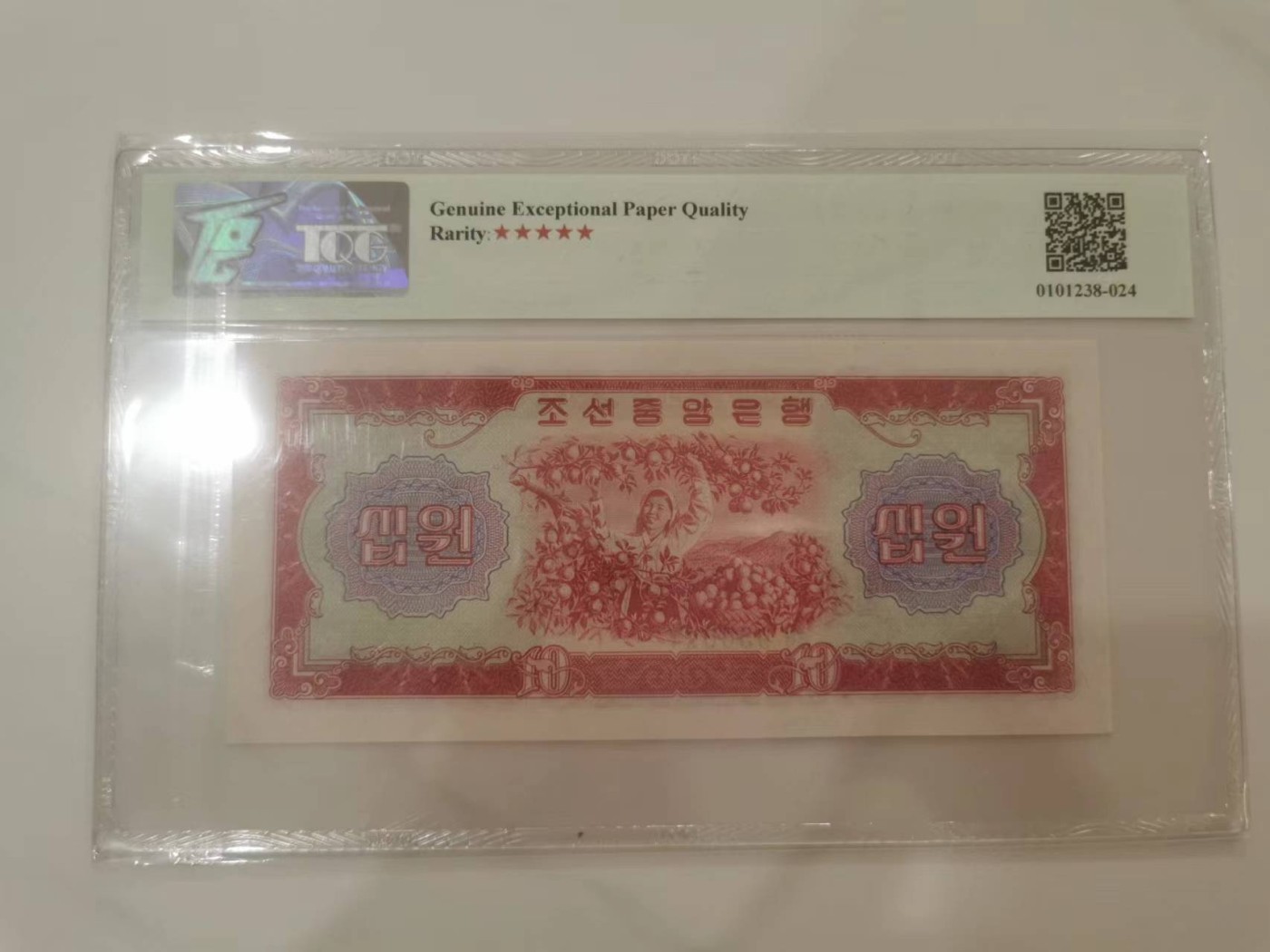 249.【鲸贝乐淘★两拍包邮】三字经·第“三纲者，君臣义”号拍卖 【朝鲜🇰🇵★稀有补号】1959年10元，摘苹果苏联代印色彩精美，TQG66E