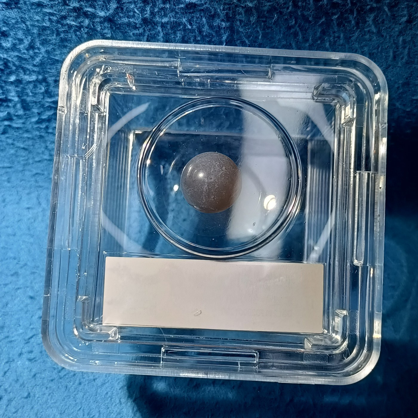 铜钱币评级币 影舍利