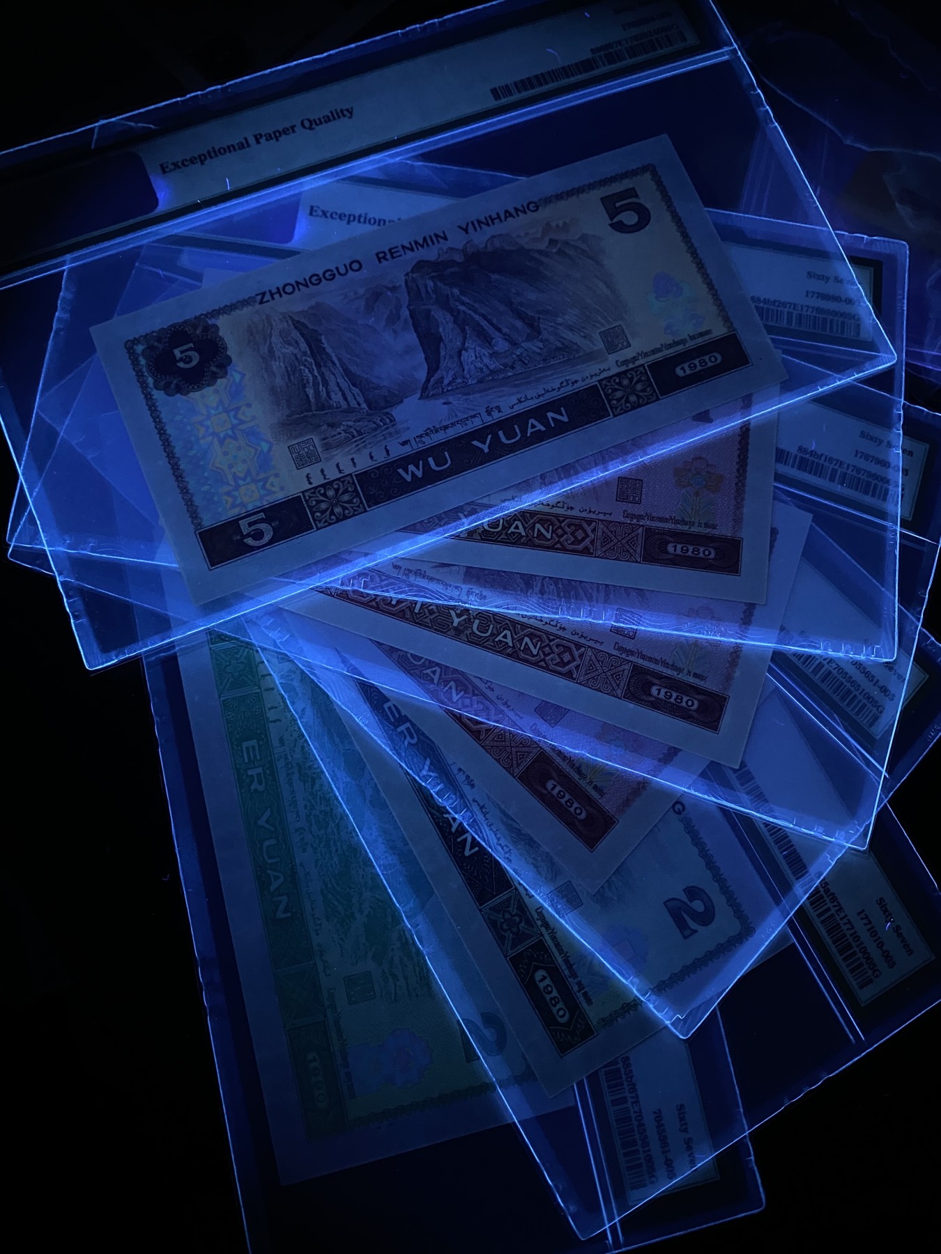 大黄蜂拍卖第79期 绿幽灵，绿钻，金龙王，红金龙，中国龙，苍松，全程无47尾205，67分