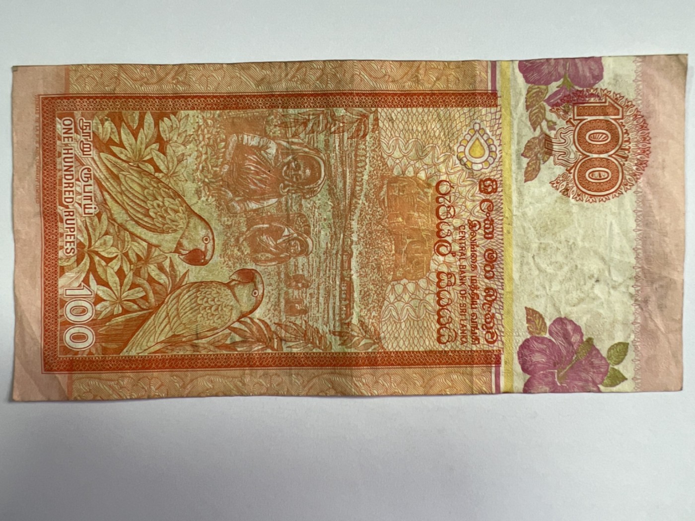 第392期 纸币专场 （无押金，捡漏，全场20包邮，偏远地区除外，接收代拍业务） 斯里兰卡100卢比