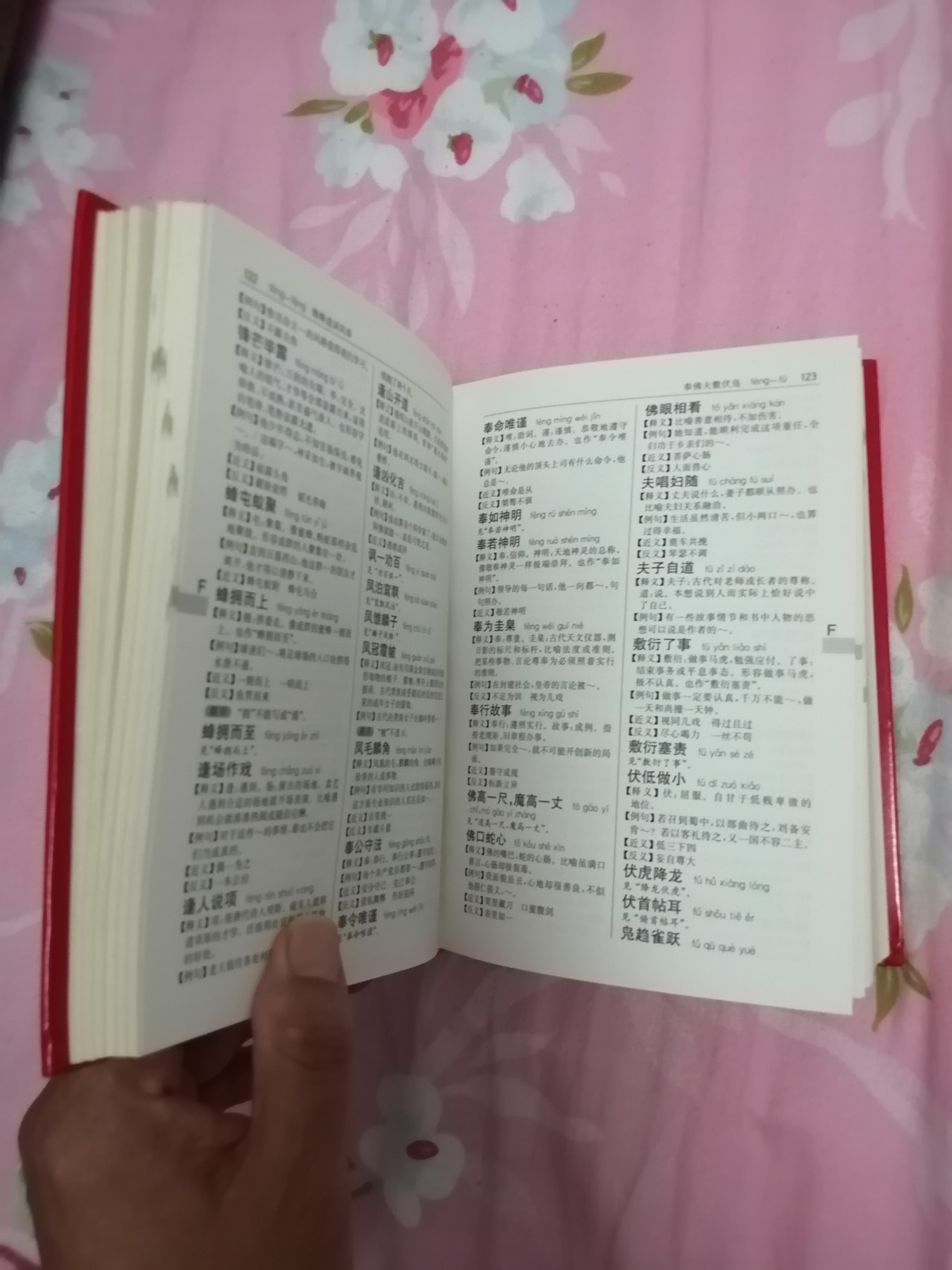 汉语成语词典（全新版）