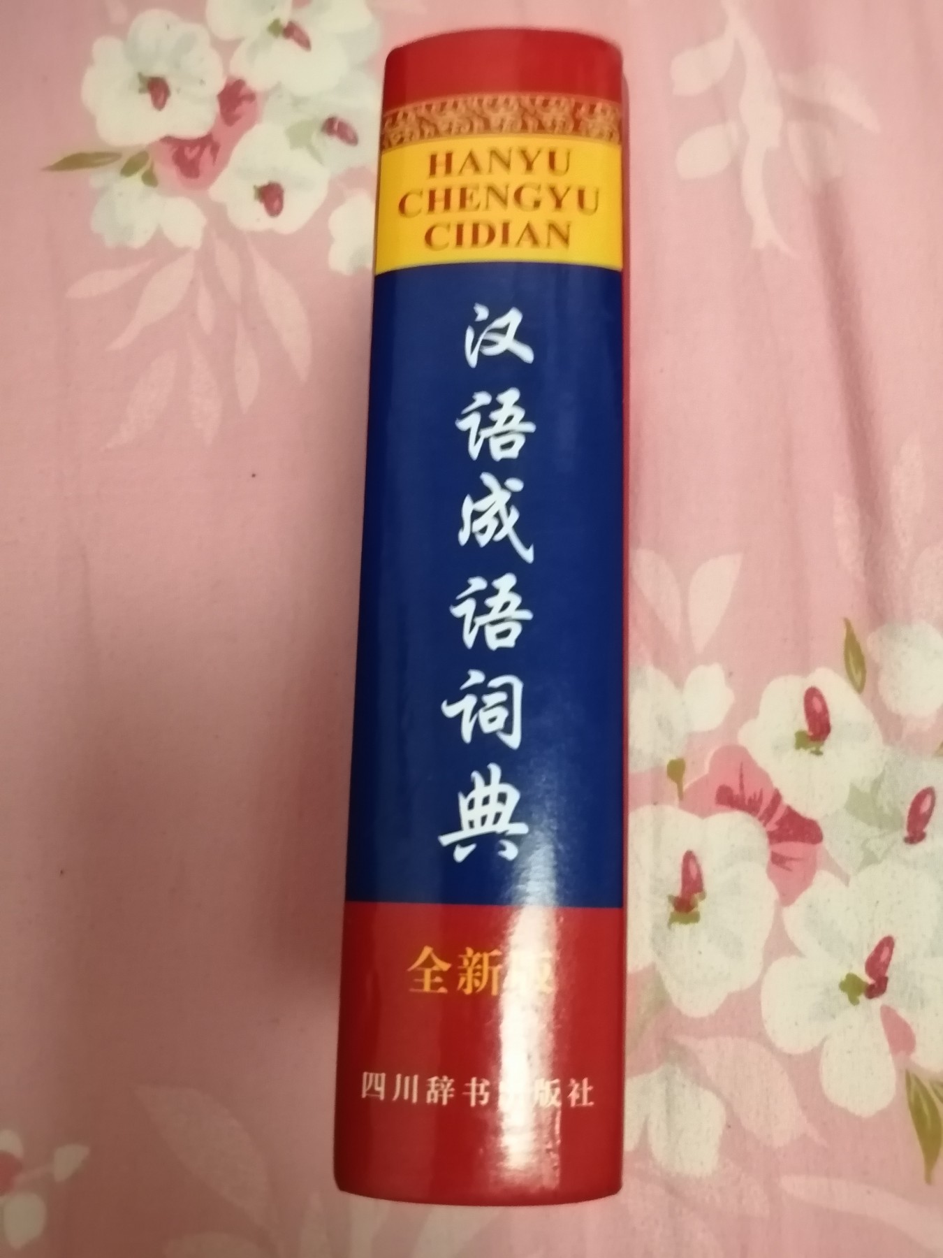 汉语成语词典（全新版）