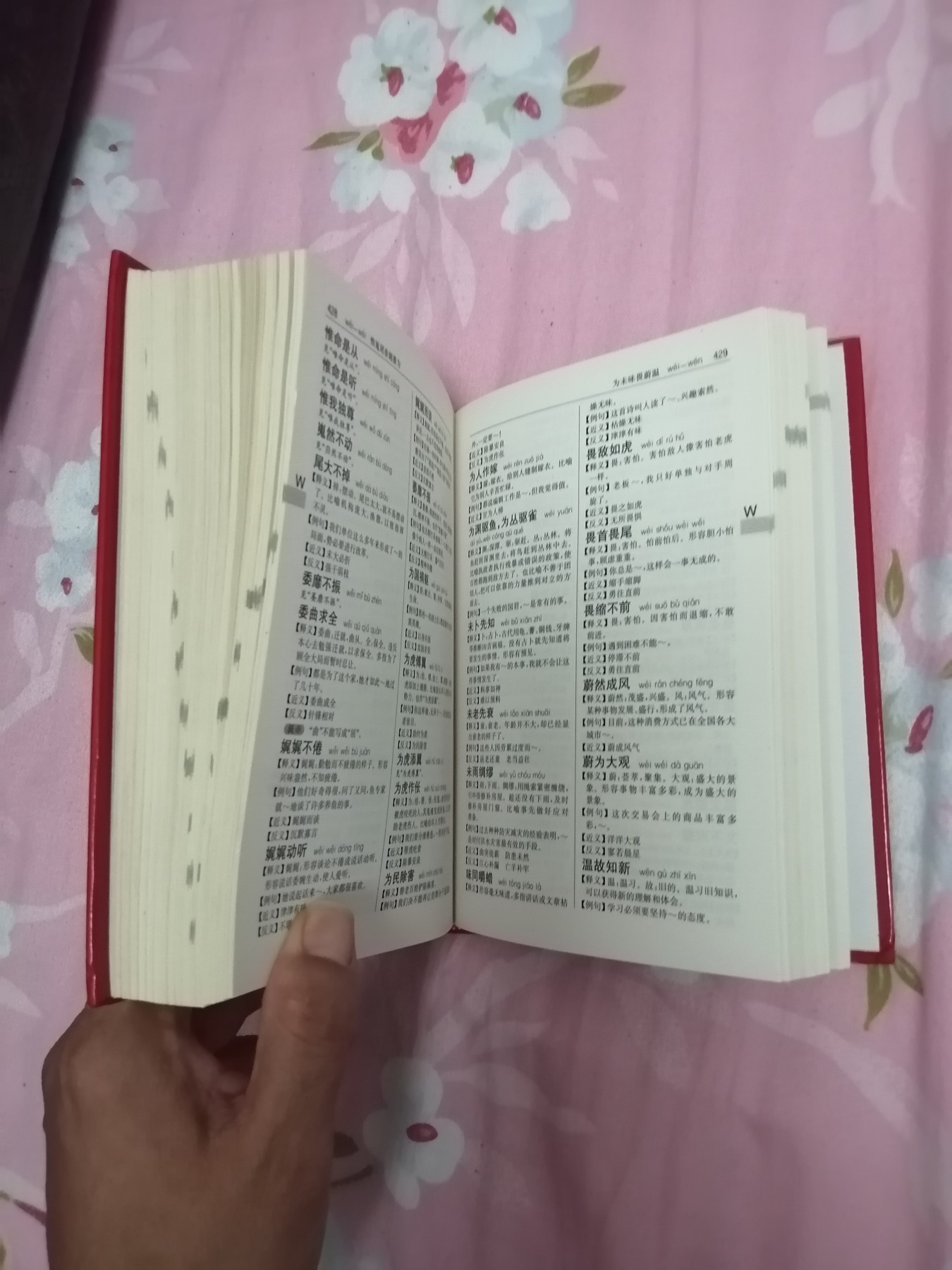 汉语成语词典（全新版）