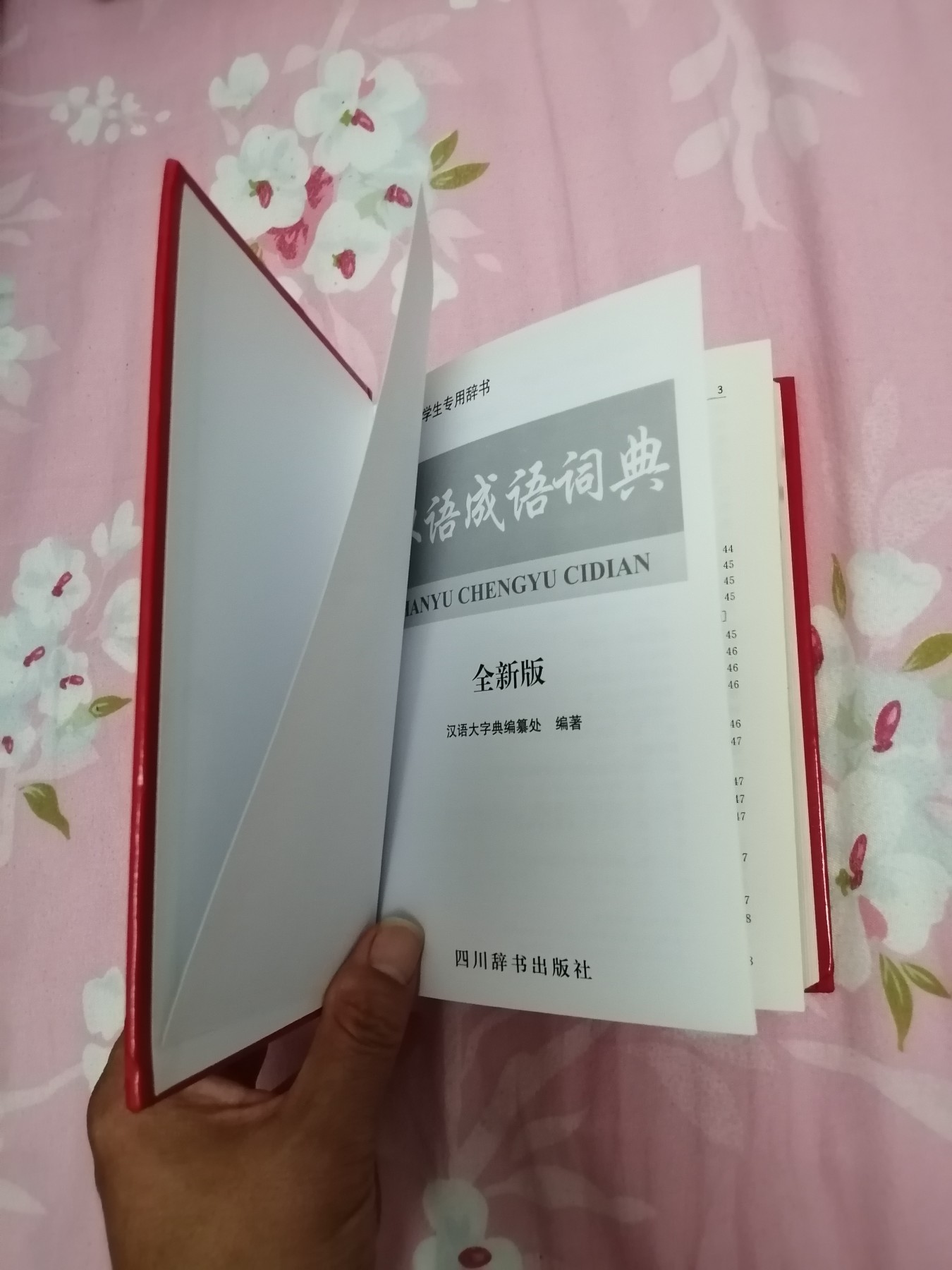 汉语成语词典（全新版）