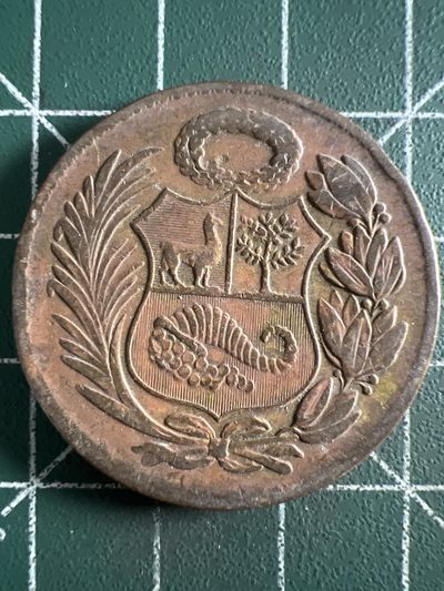 第521期  硬币专场 （无押金，捡漏，全场50包邮，偏远地区除外，接收代拍业务） - 秘鲁早期大铜币