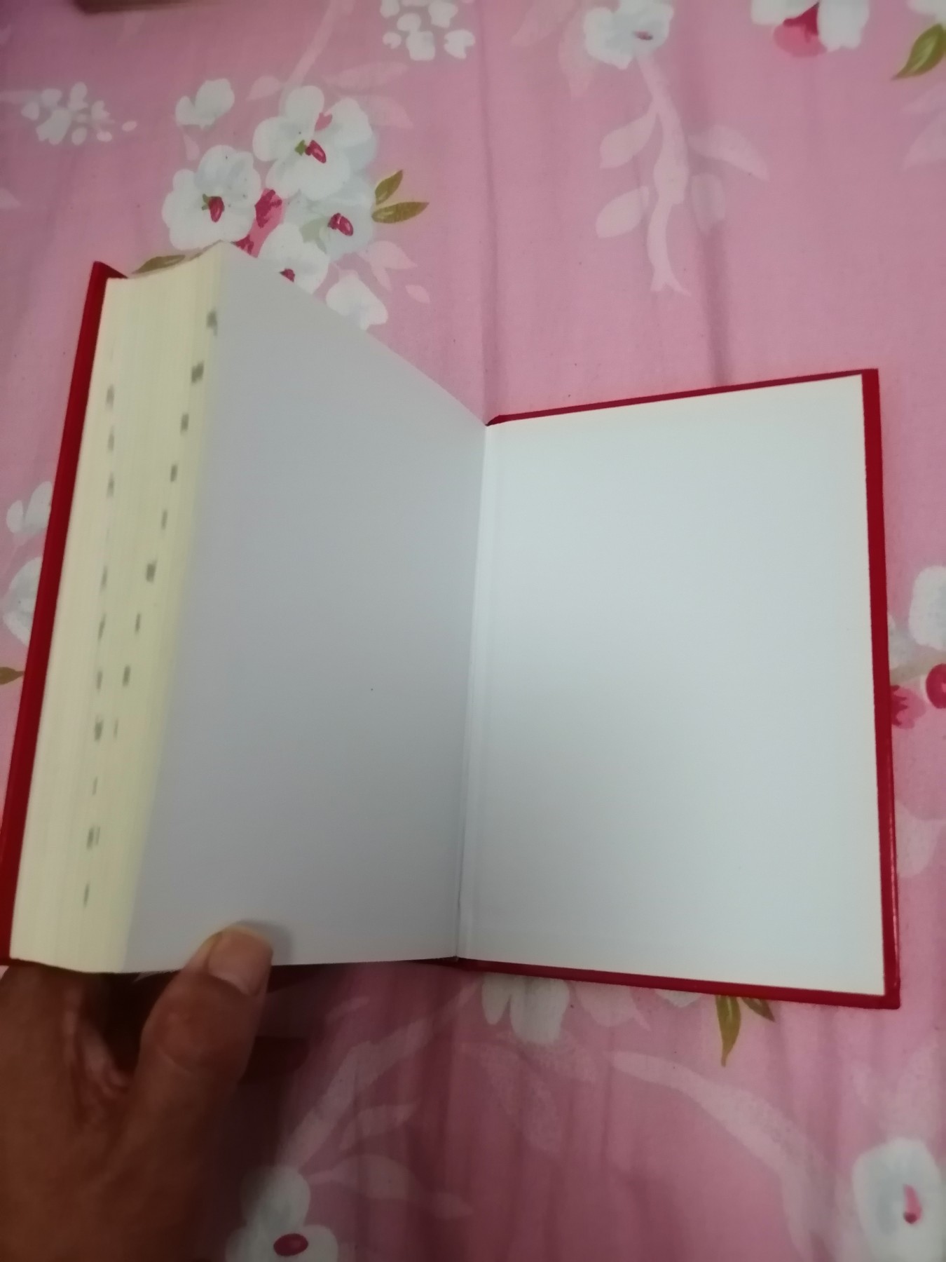 汉语成语词典（全新版）