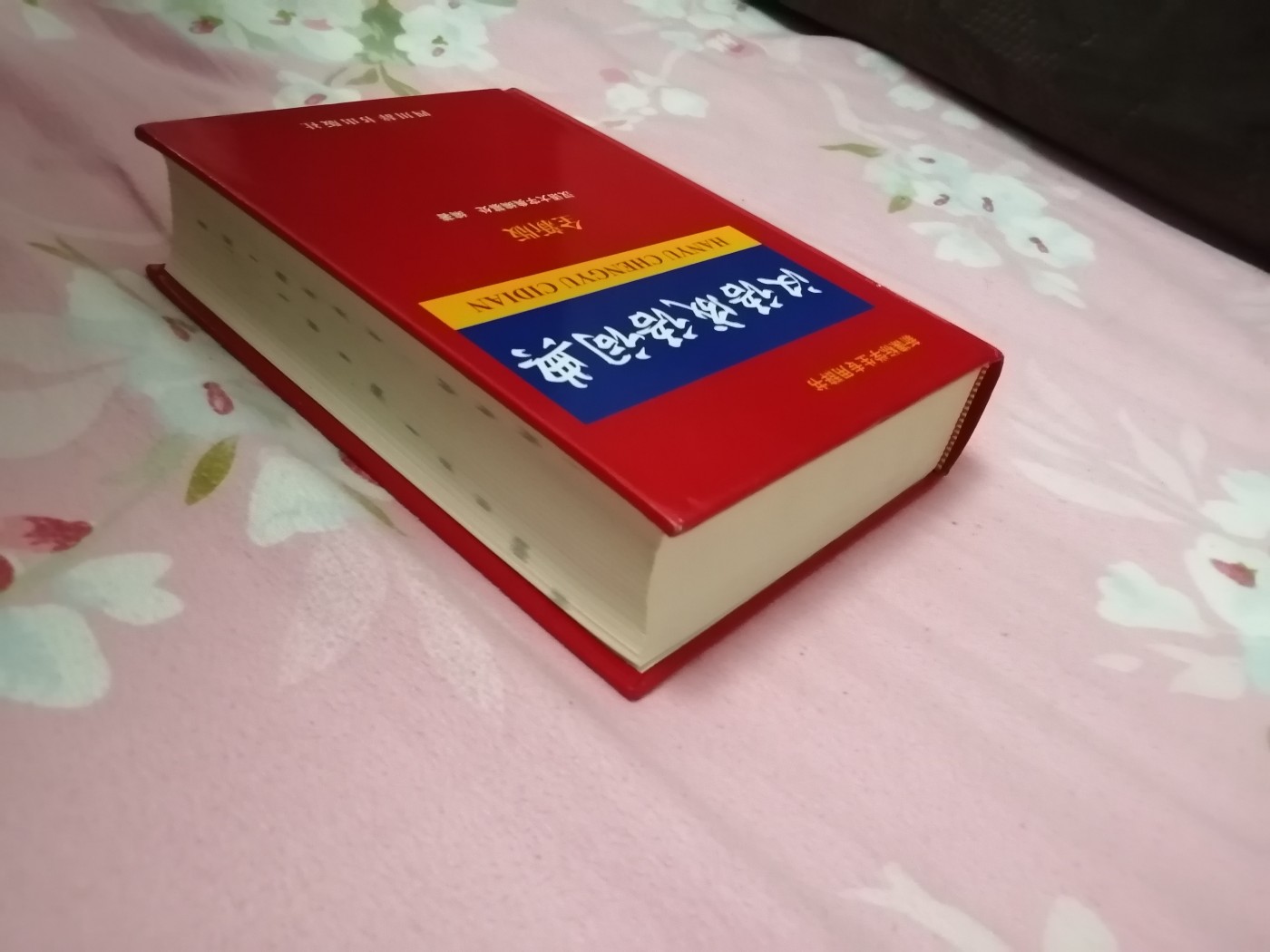 汉语成语词典（全新版）