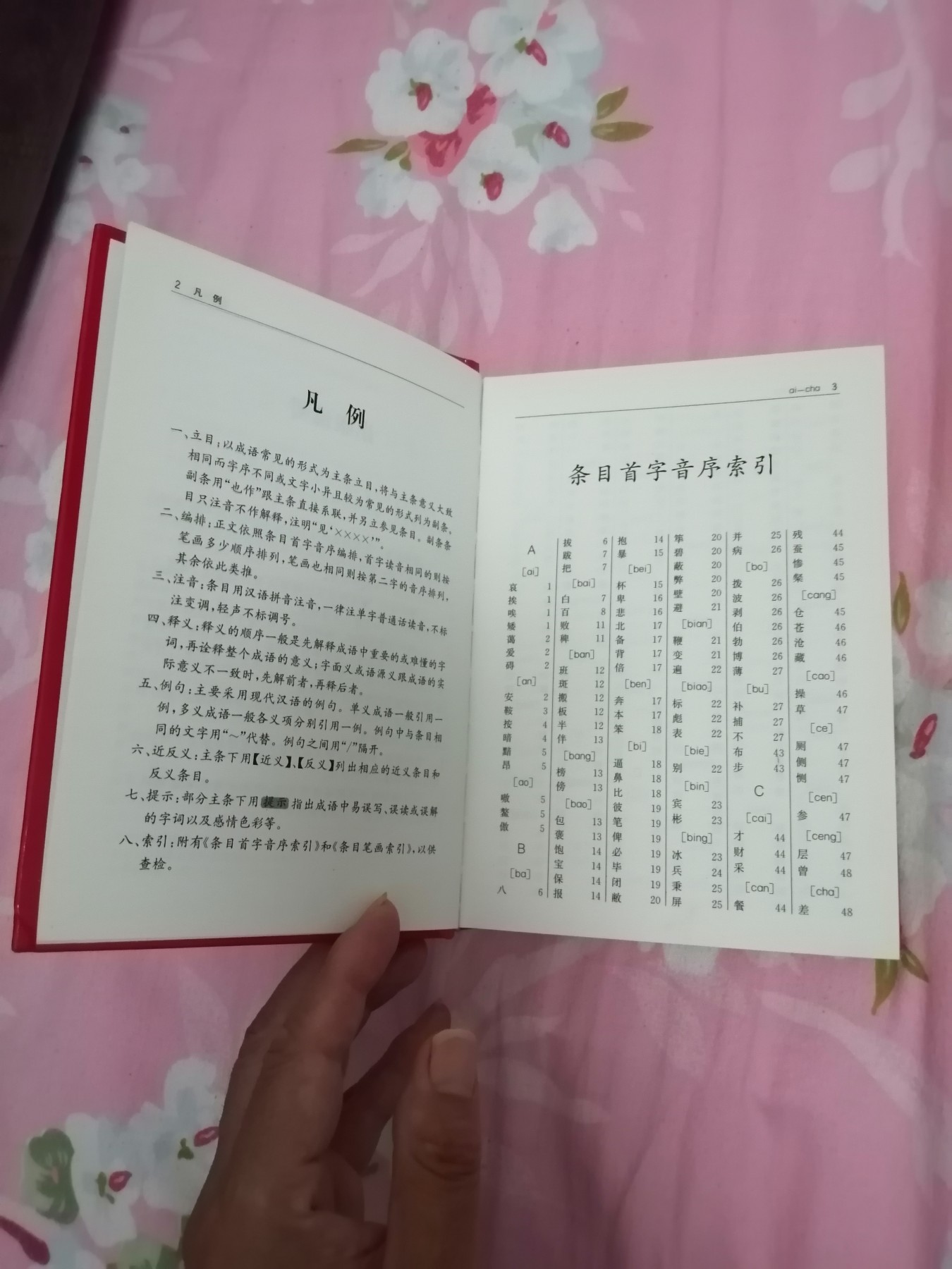 汉语成语词典（全新版）