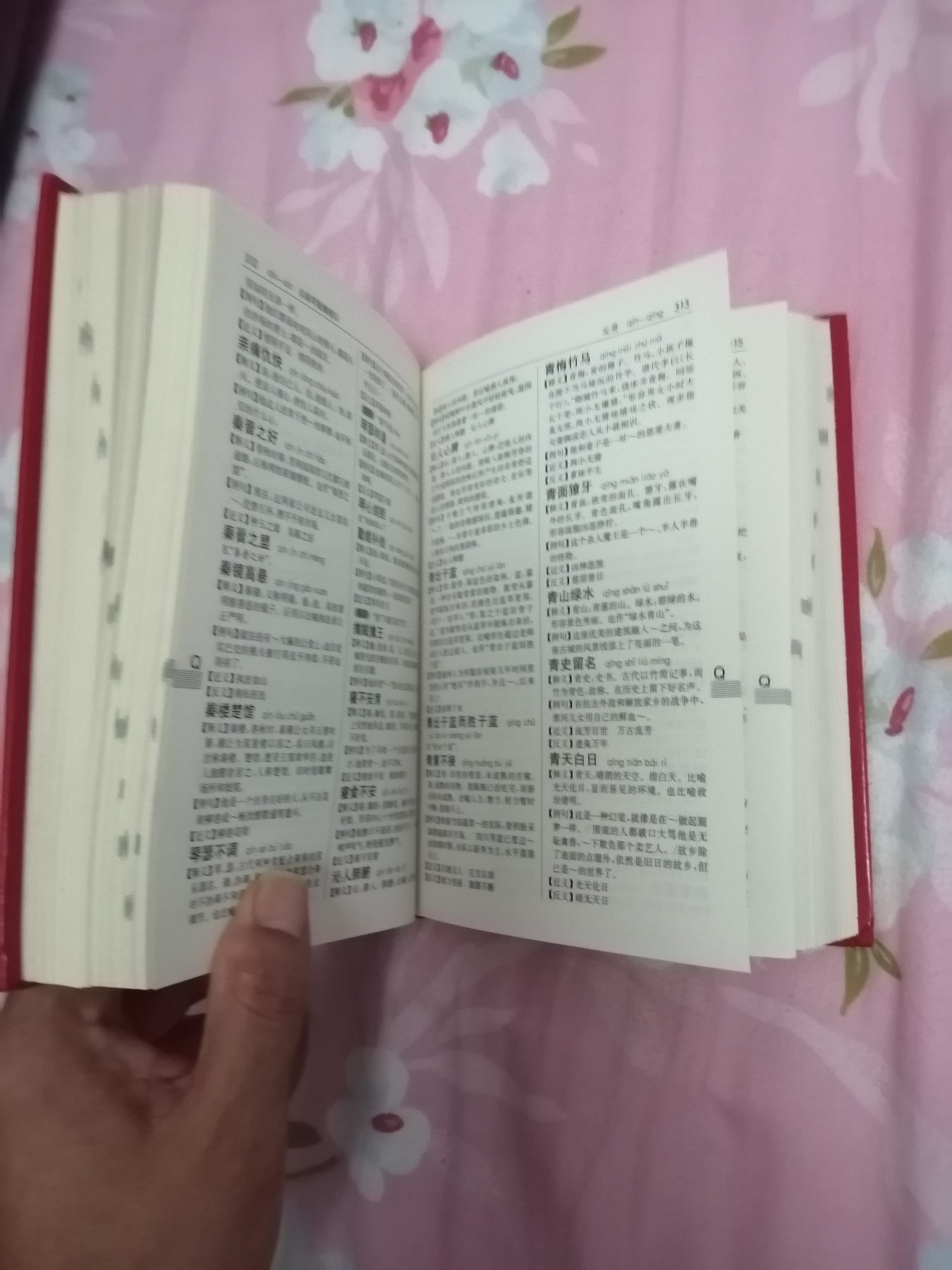 汉语成语词典（全新版）
