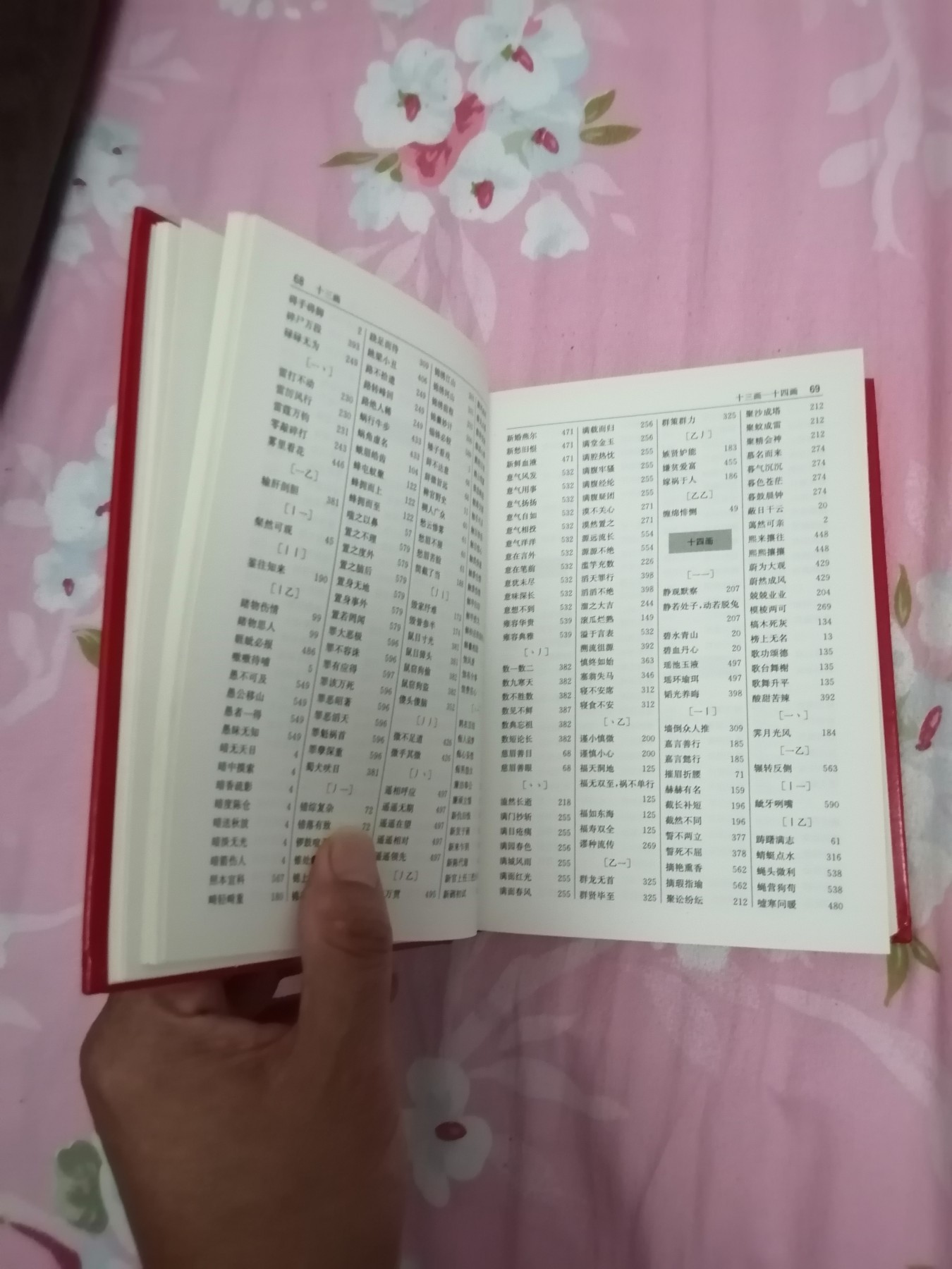 汉语成语词典（全新版）