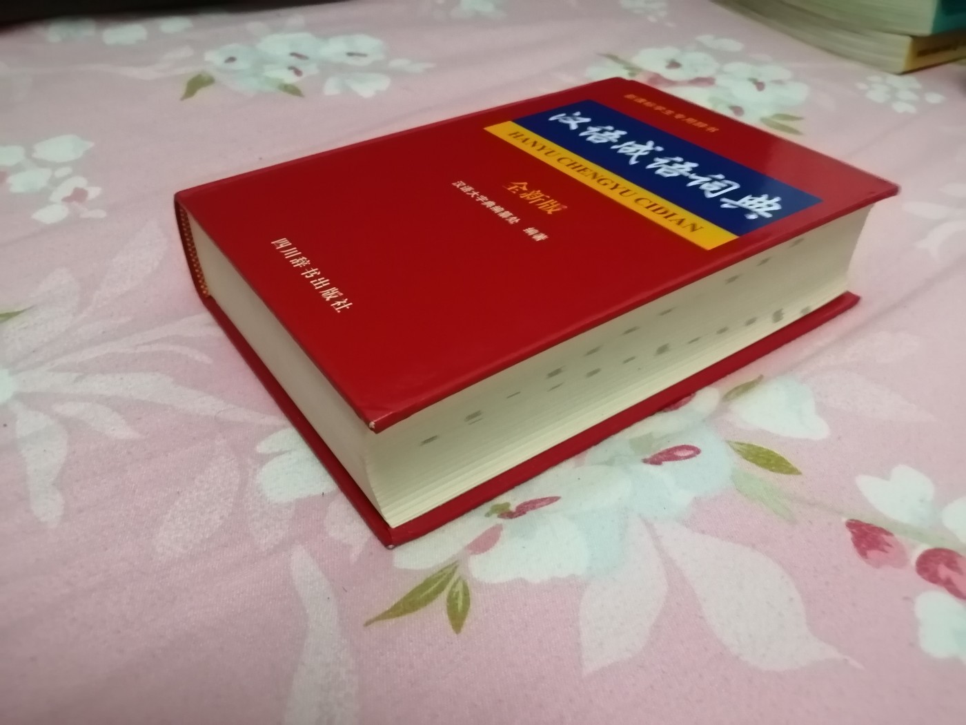 汉语成语词典（全新版）
