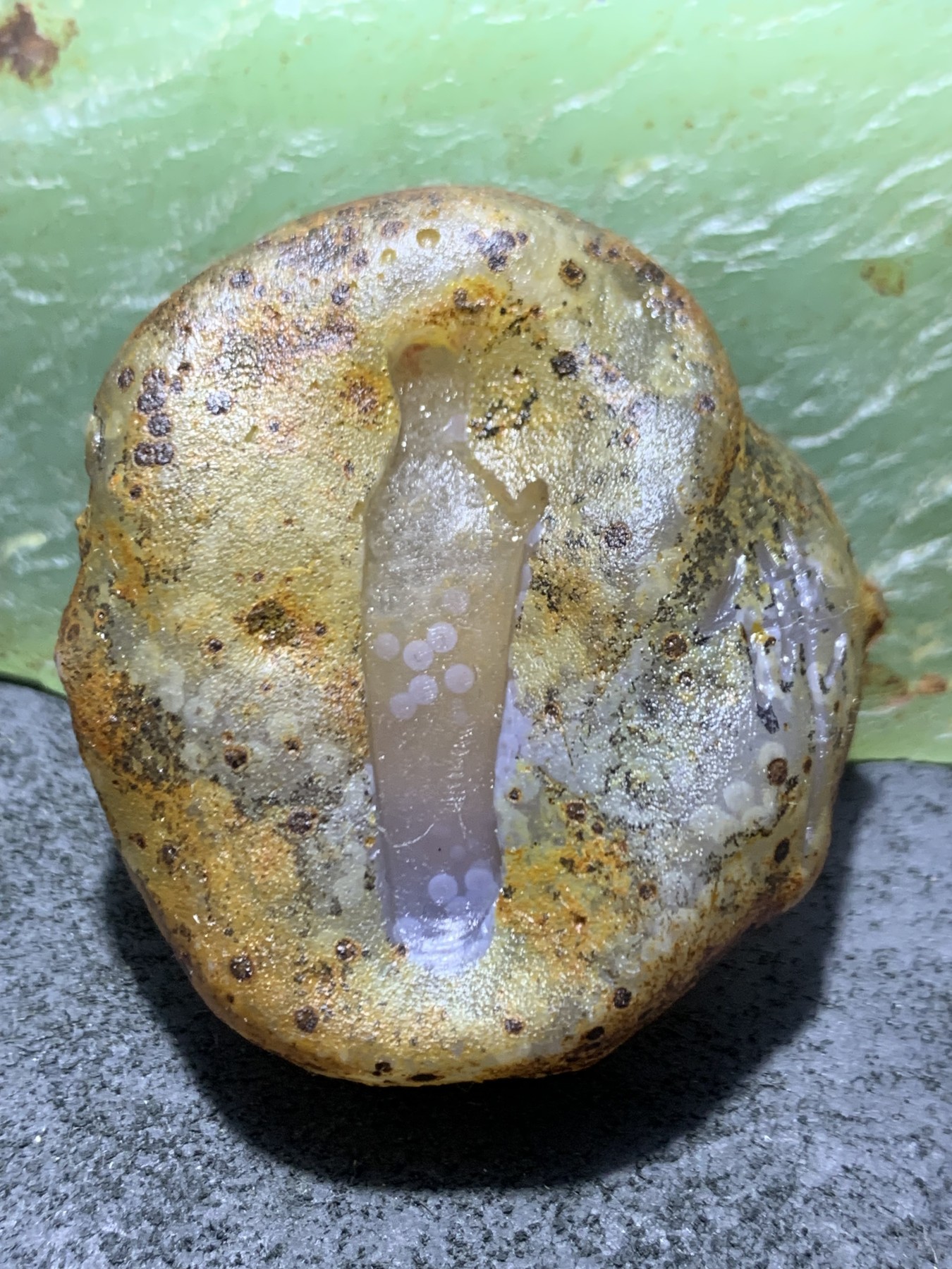精美原皮高玉化冻料蒙料战国红玛瑙手工影雕工艺佛在心中吊坠一个