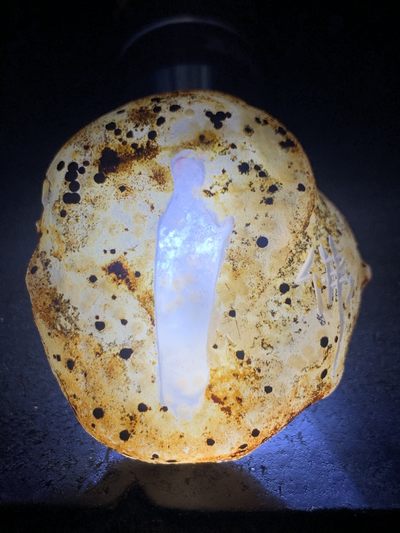 精美原皮高玉化冻料蒙料战国红玛瑙手工影雕工艺佛在心中吊坠一个 - 精美原皮高玉化冻料蒙料战国红玛瑙手工影雕工艺佛在心中吊坠一个
