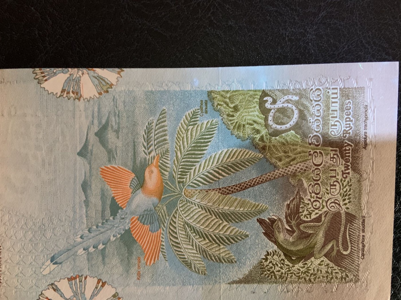收藏联盟Quantum Auction 第284期拍卖  斯里兰卡1979年20卢比 品相UNC- 有轻微潮斑