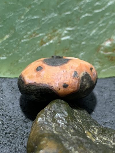 精美亚光高玉化原皮战国红玛瑙手工雕刻义字随形吊坠一颗！ 精美亚光高玉化原皮战国红玛瑙手工雕刻义字随形吊坠一颗！