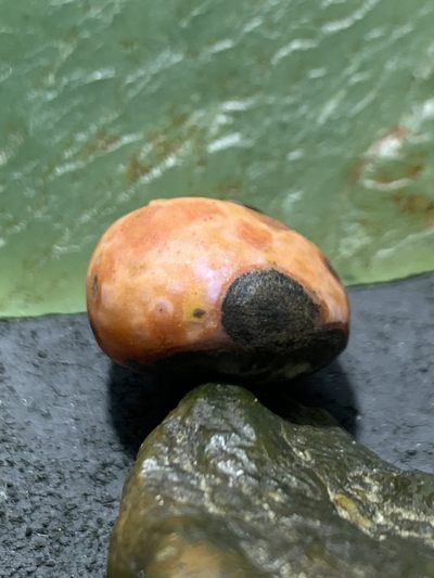 精美亚光高玉化原皮战国红玛瑙手工雕刻义字随形吊坠一颗！ 精美亚光高玉化原皮战国红玛瑙手工雕刻义字随形吊坠一颗！