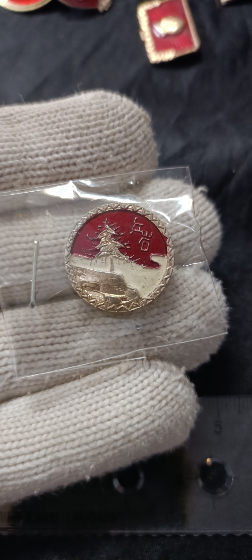 全场0起0押金！ 精品像章，红色文献！ 特殊红色题材，红岩！