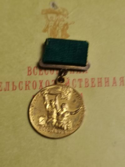 巨人徽章拍卖（国章、苏章、日章、书籍） - 苏联农业展览会奖