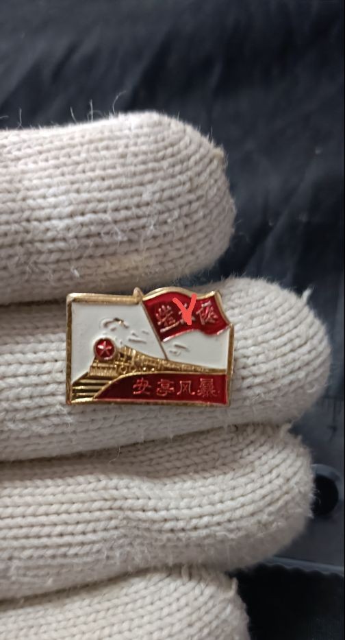 全场0起0押金！ 精品像章，红色文献！ 工总司安亭纪念章