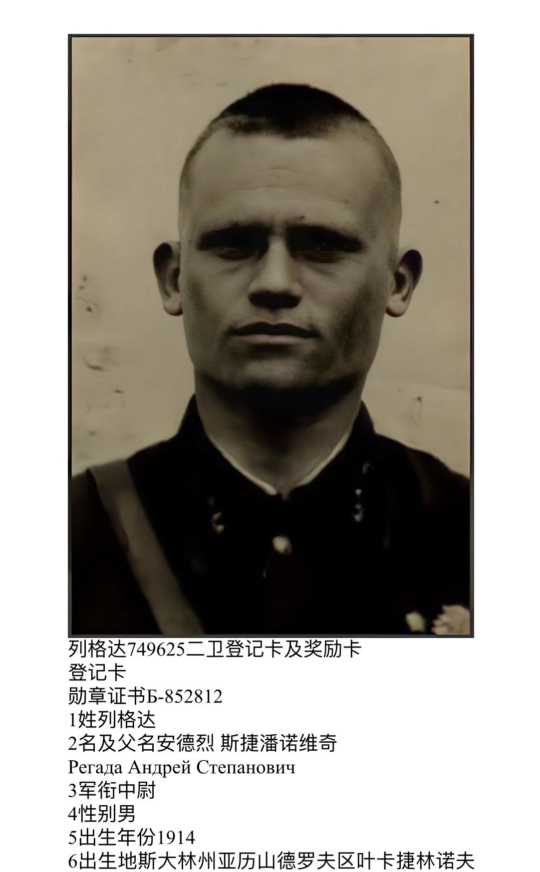 大猫徽章拍卖 第231期  苏联43二卫1⃣️ 档案齐全