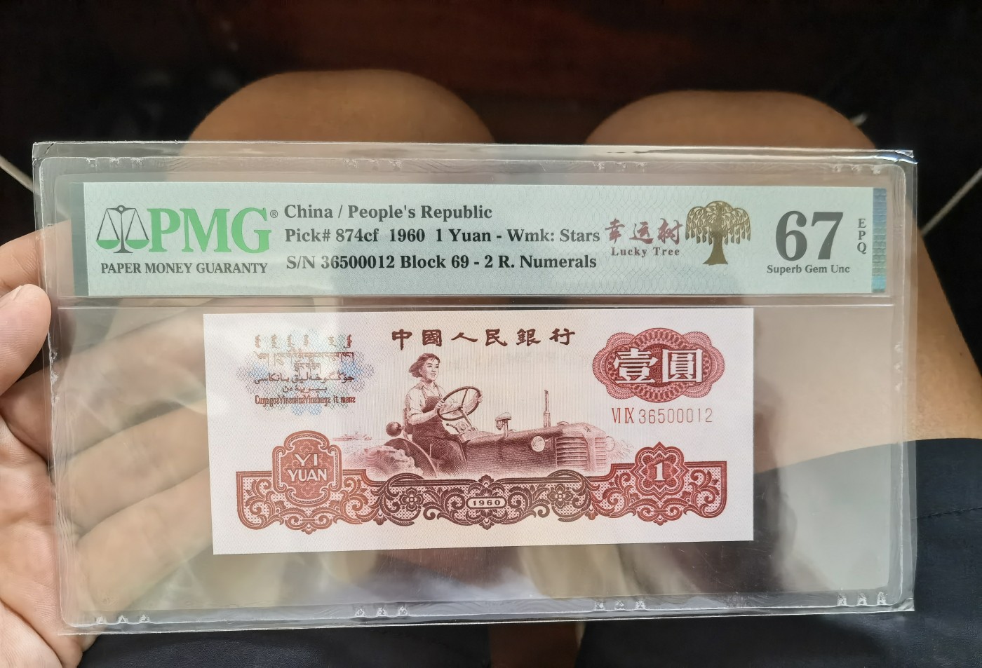 你好，9月。第010期 二罗马幸运树。豹子身，无47