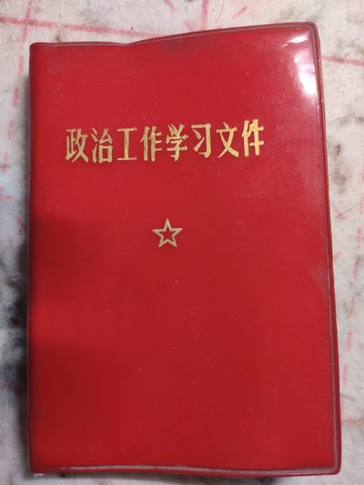 皖江书章第5次麦稀奇拍卖 - 政治工作学习文件，毛林全