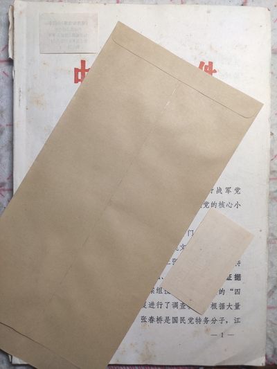 皖江书章第5次麦稀奇拍卖 - 红透，专案组材料二
