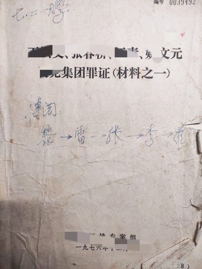 皖江书章第5次麦稀奇拍卖 - 红透文件，专案组材料一，有大量江图
