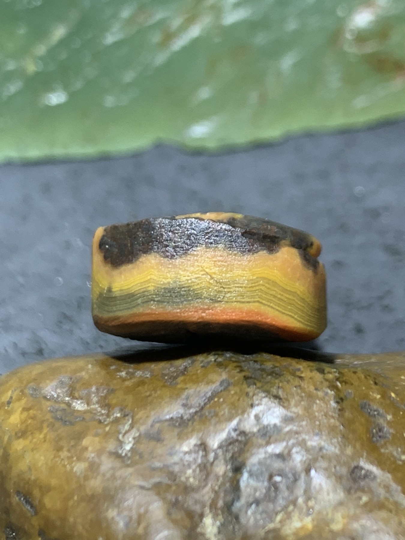 精美亚光战国红玛瑙手工俏色巧雕富贵有鱼随形一体佛头三通一个，