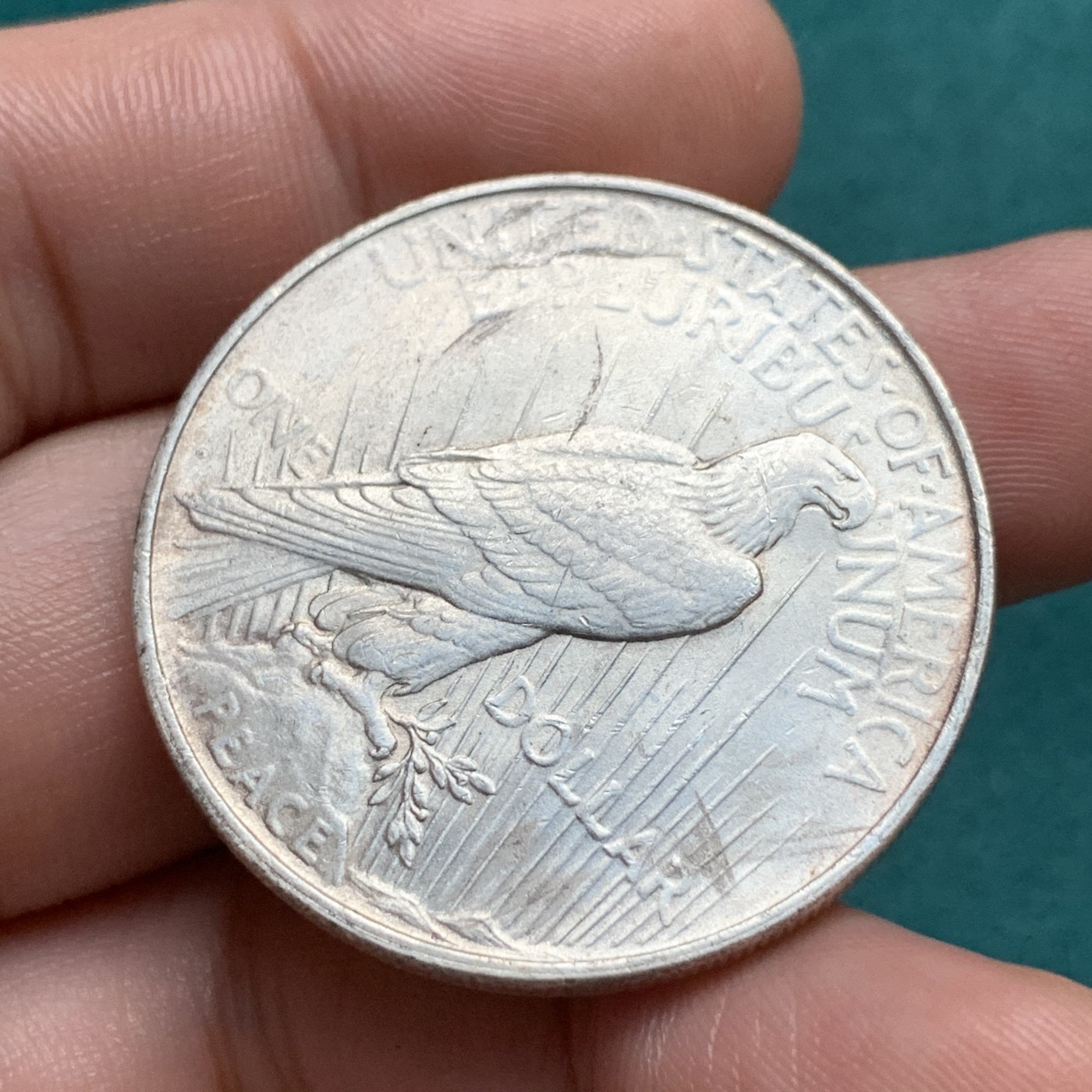 《竞宝斋》第192场-周日，周一 2场 (全场包邮) 美国和平银币1923年d版 ，unc品相。丹佛厂发行量仅为普版的五分之一，62分pcgs指导价200美金。