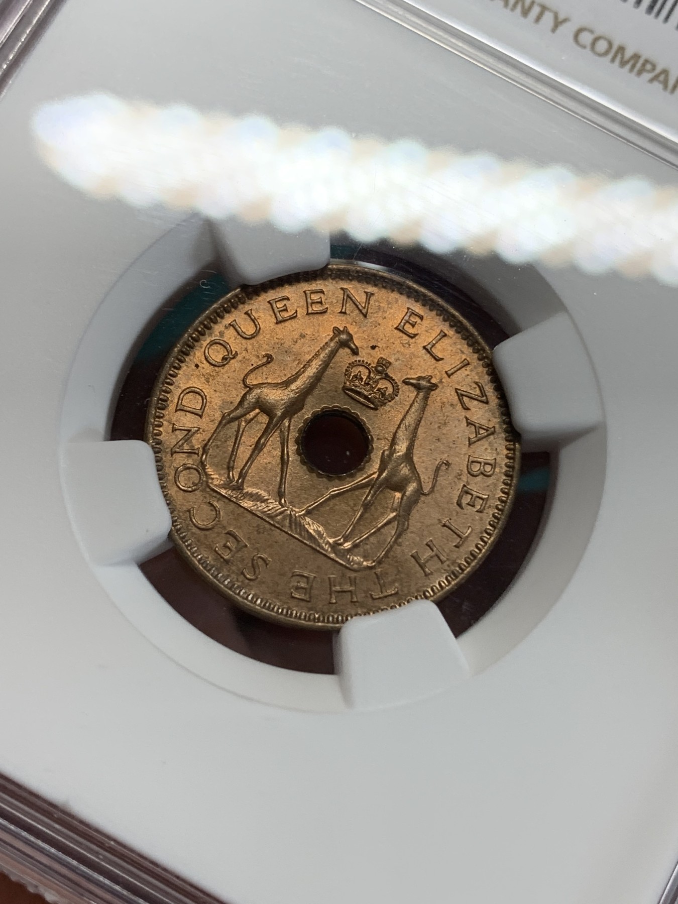 《竞宝斋》第192场-周日，周一 2场 (全场包邮) NGC MS65RB 高分暴光好品 罗德西亚1957年半便士长颈鹿铜币 和“对象”铜币配套一绝