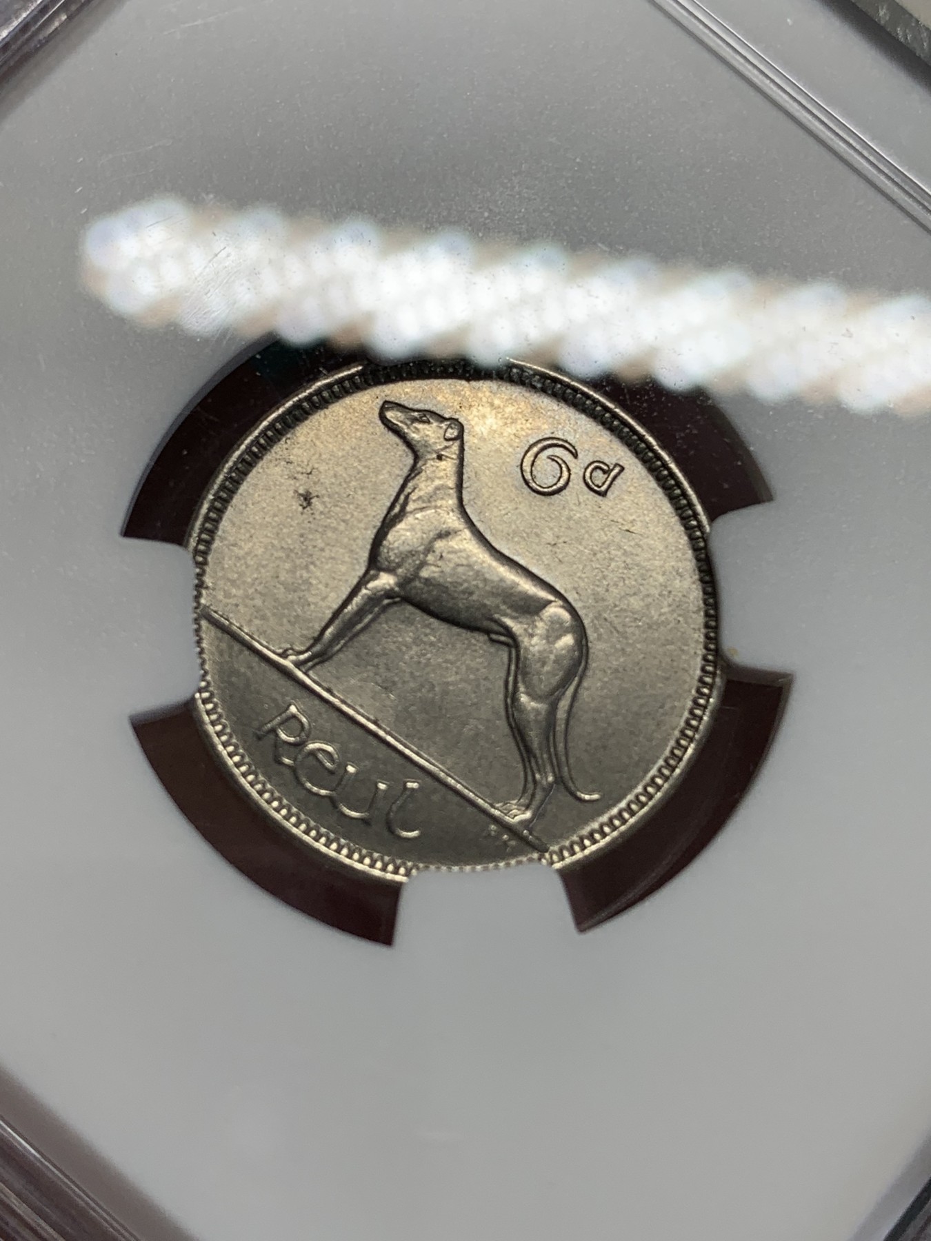 《竞宝斋》第192场-周日，周一 2场 (全场包邮) NGC-MS64  爱尔兰1928年猎犬6便士，受欢迎的爱尔兰动物系列首版，64高分好状态，凑套必备。