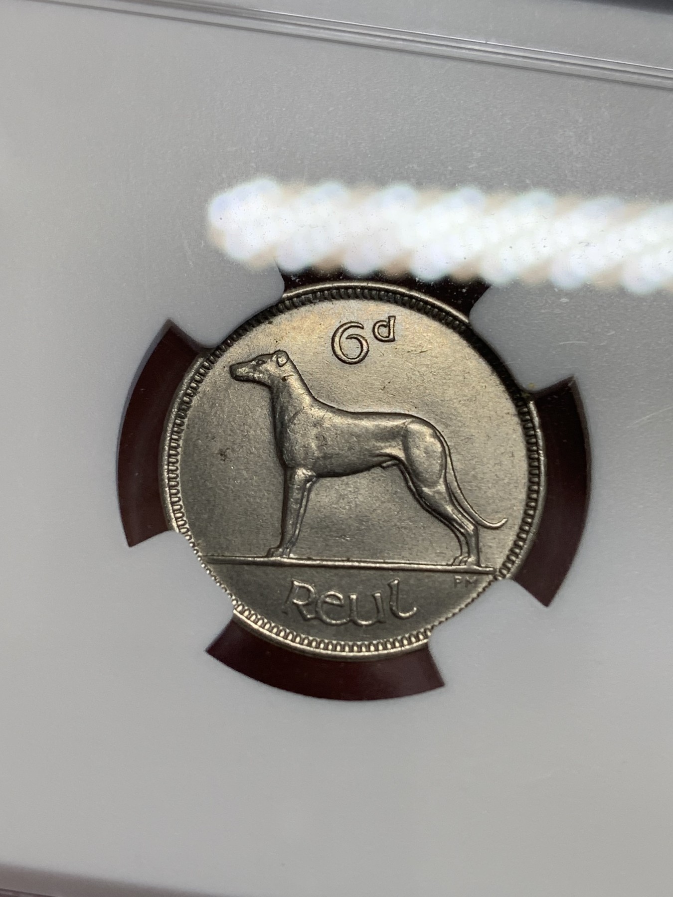 《竞宝斋》第192场-周日，周一 2场 (全场包邮) NGC-MS64  爱尔兰1928年猎犬6便士，受欢迎的爱尔兰动物系列首版，64高分好状态，凑套必备。