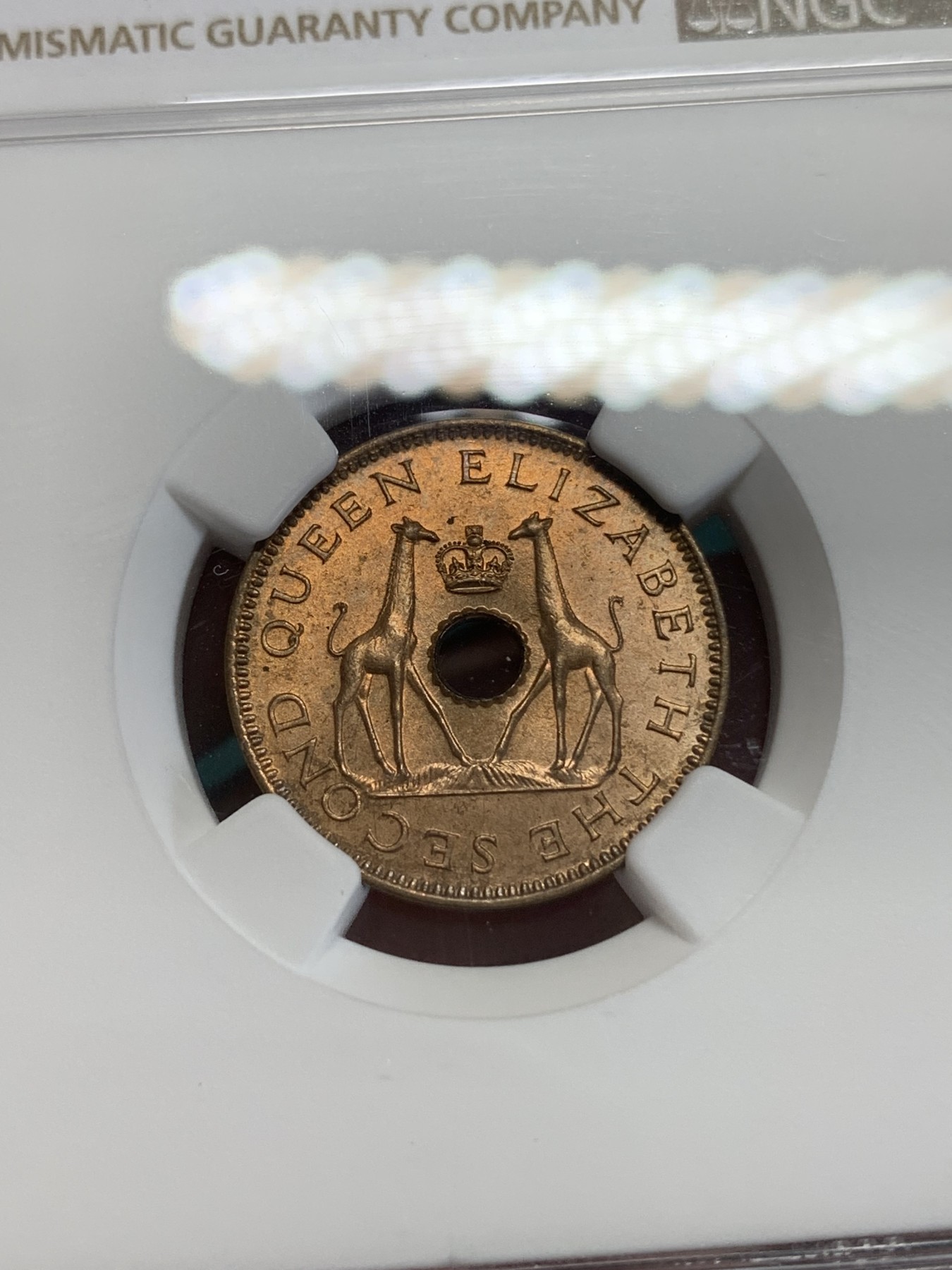 《竞宝斋》第192场-周日，周一 2场 (全场包邮) NGC MS65RB 高分暴光好品 罗德西亚1957年半便士长颈鹿铜币 和“对象”铜币配套一绝