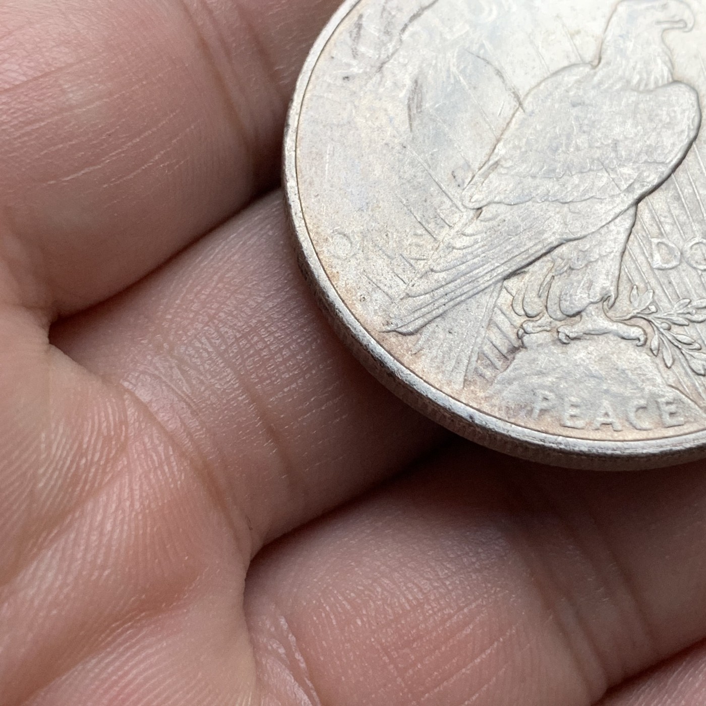 《竞宝斋》第192场-周日，周一 2场 (全场包邮) 美国和平银币1923年d版 ，unc品相。丹佛厂发行量仅为普版的五分之一，62分pcgs指导价200美金。