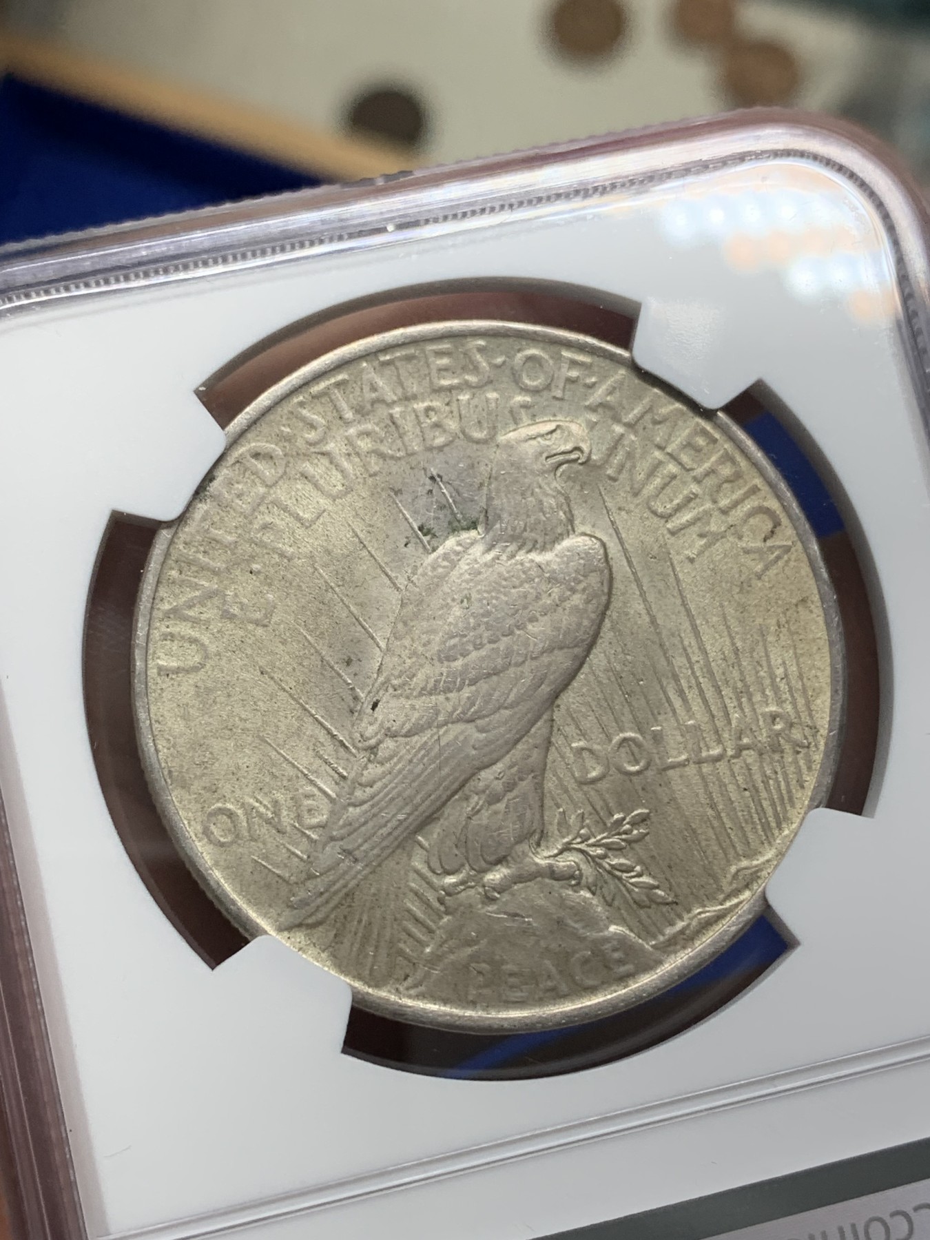 《竞宝斋》第193场-周日，周一 2场 (全场包邮) NGC-MS64 美国1922年 和平鸽 1美元 大银币 黄绿五彩包浆