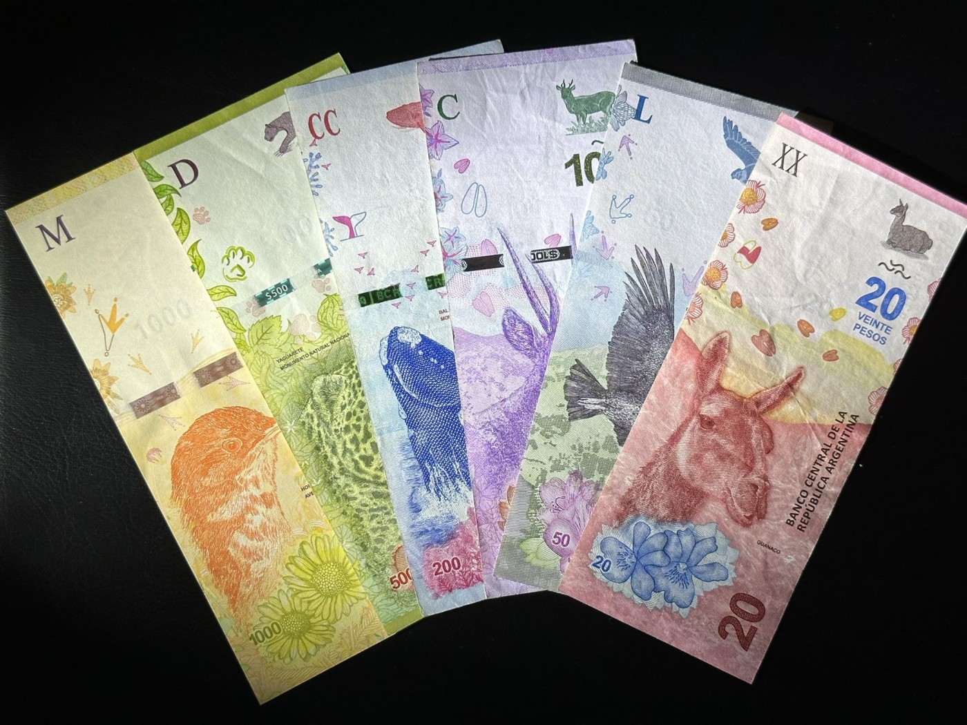 八月最后一场，第十五期大拍 阿根廷大全套一组六张，动物版本非常漂亮，这组为这批货源中精挑好好品相